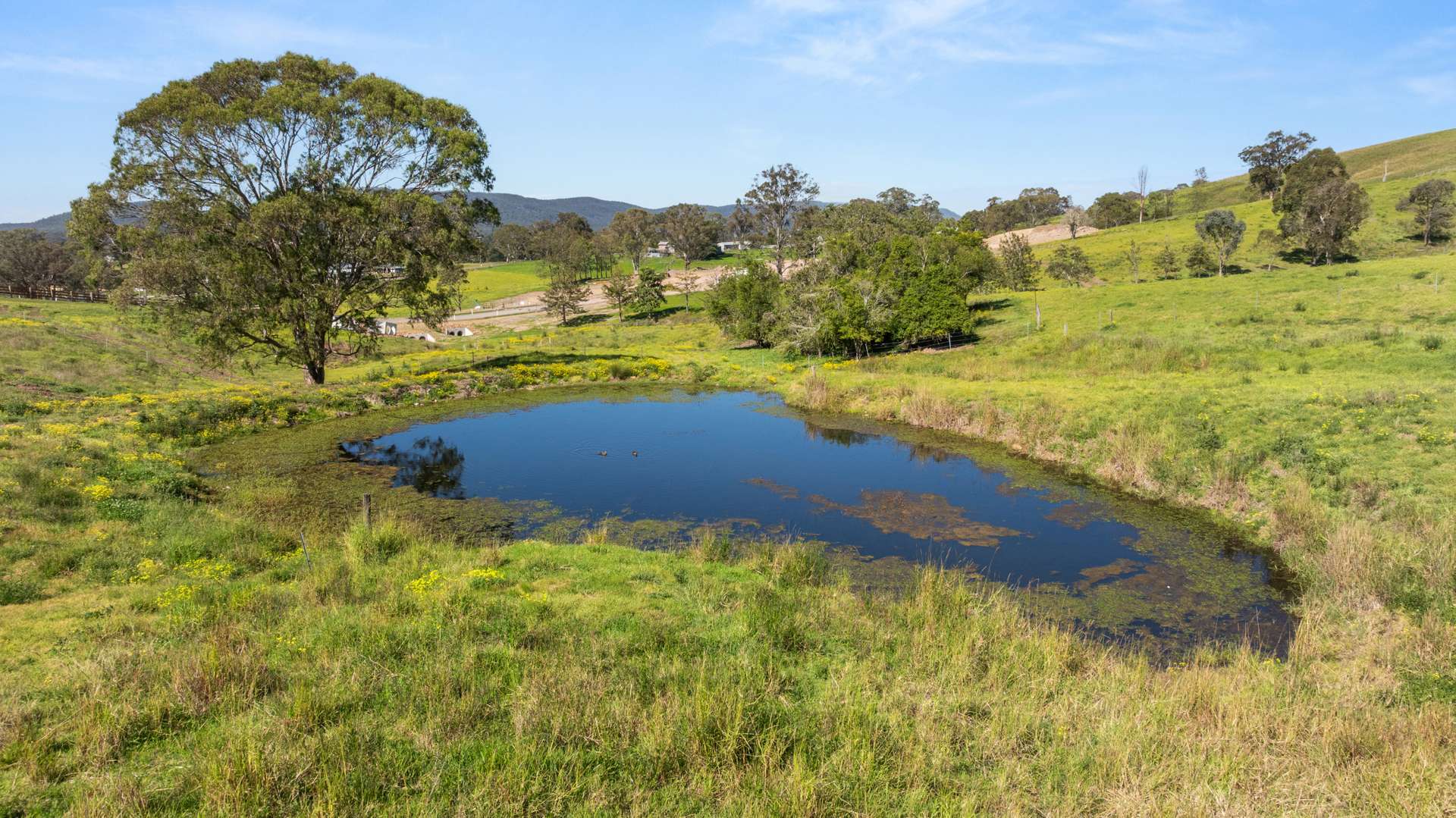 Lots 13-25 Glen William Road, Clarence Town For Sale by Farmbuy.com - image 17