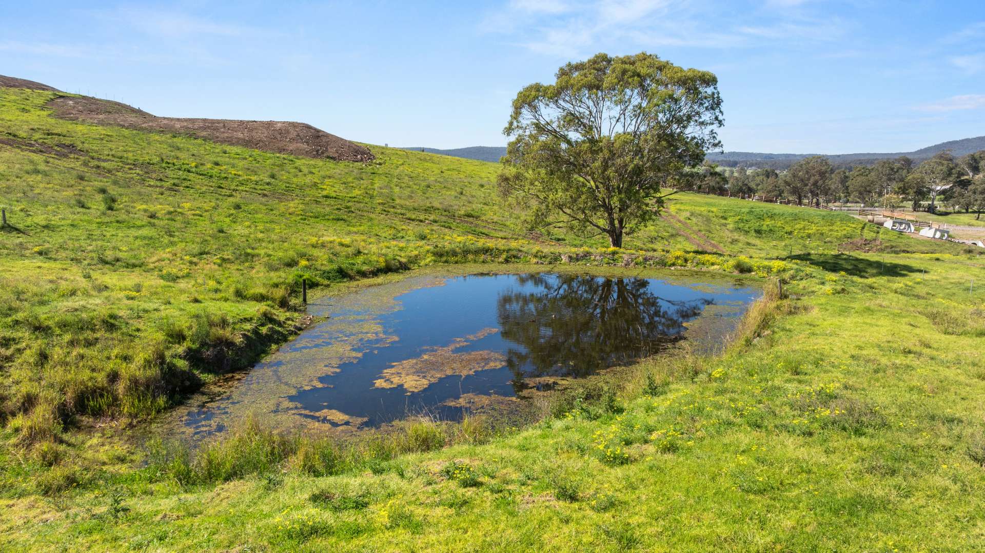 Lots 13-25 Glen William Road, Clarence Town For Sale by Farmbuy.com - image 16