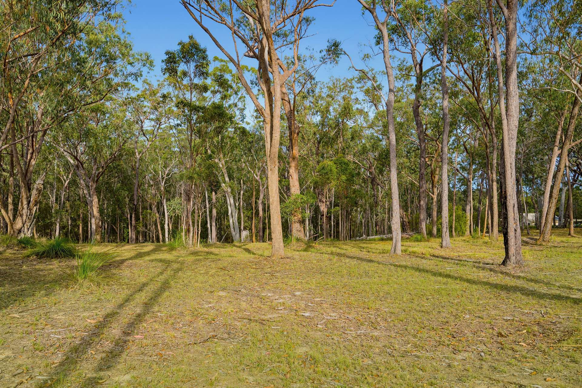 201 Settlers Way, South Kempsey For Sale by Farmbuy.com - image 14