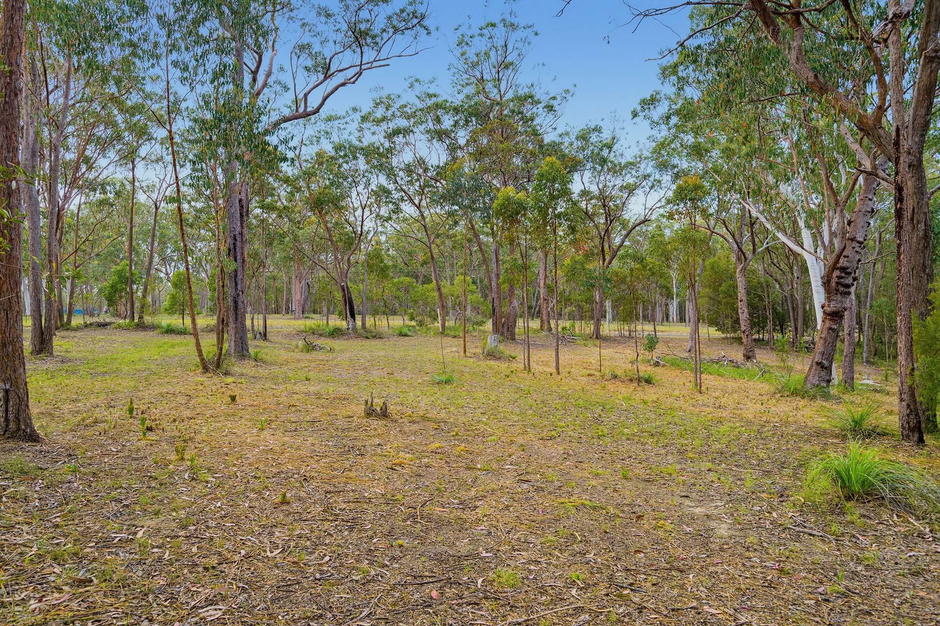 201 Settlers Way, South Kempsey For Sale by Farmbuy.com - image 15