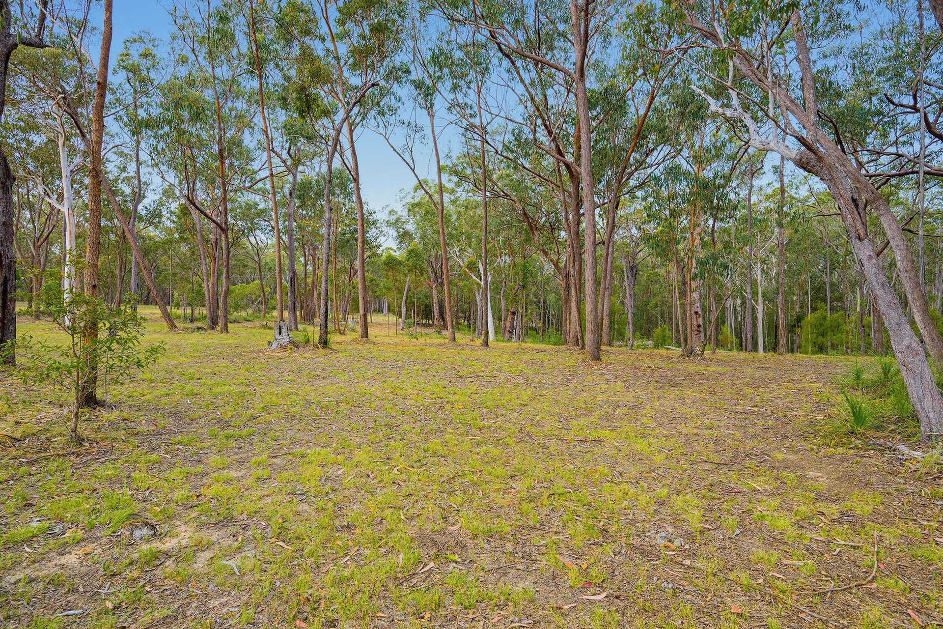 201 Settlers Way, South Kempsey For Sale by Farmbuy.com - image 17