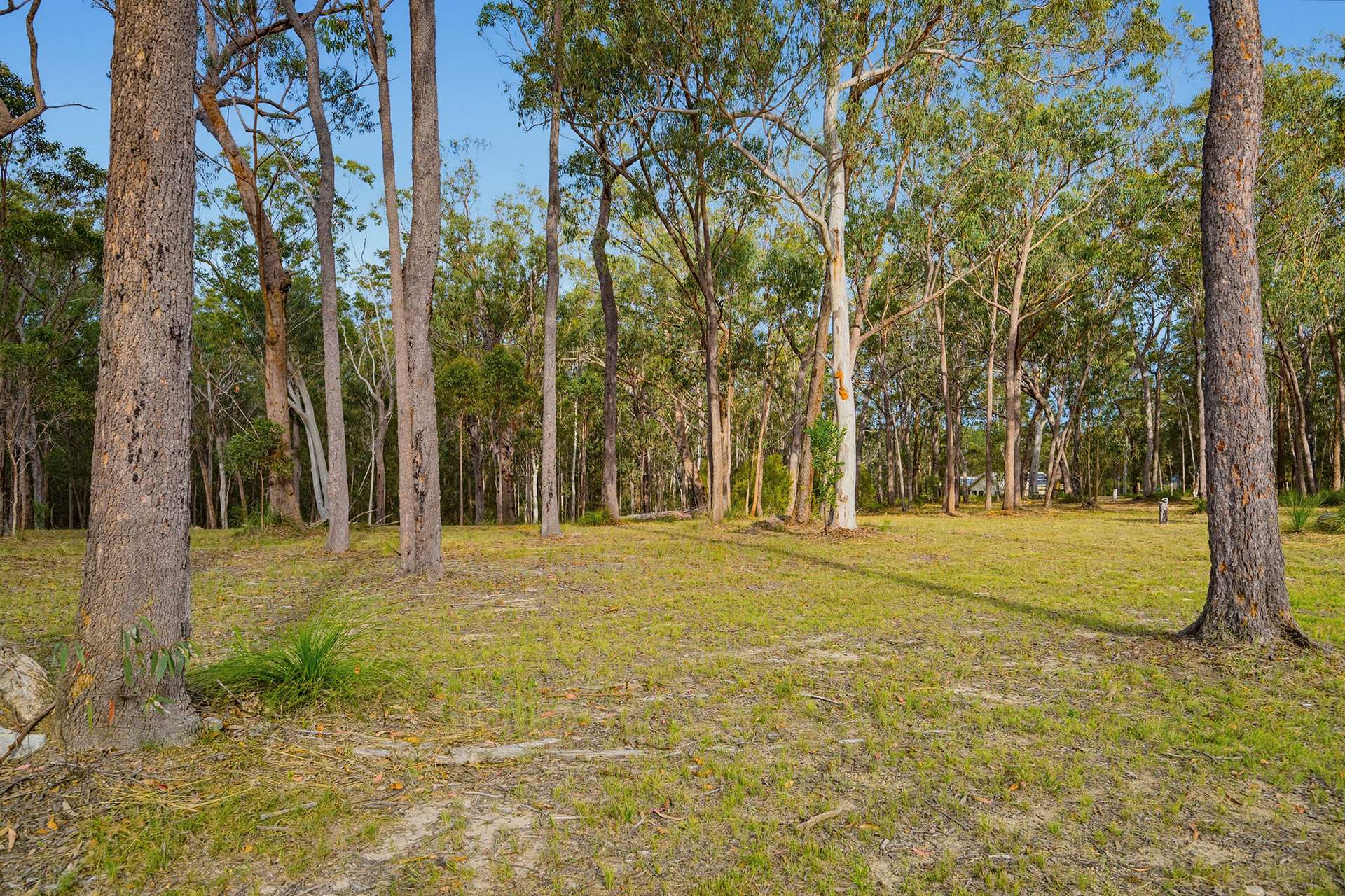 201 Settlers Way, South Kempsey For Sale by Farmbuy.com - image 13
