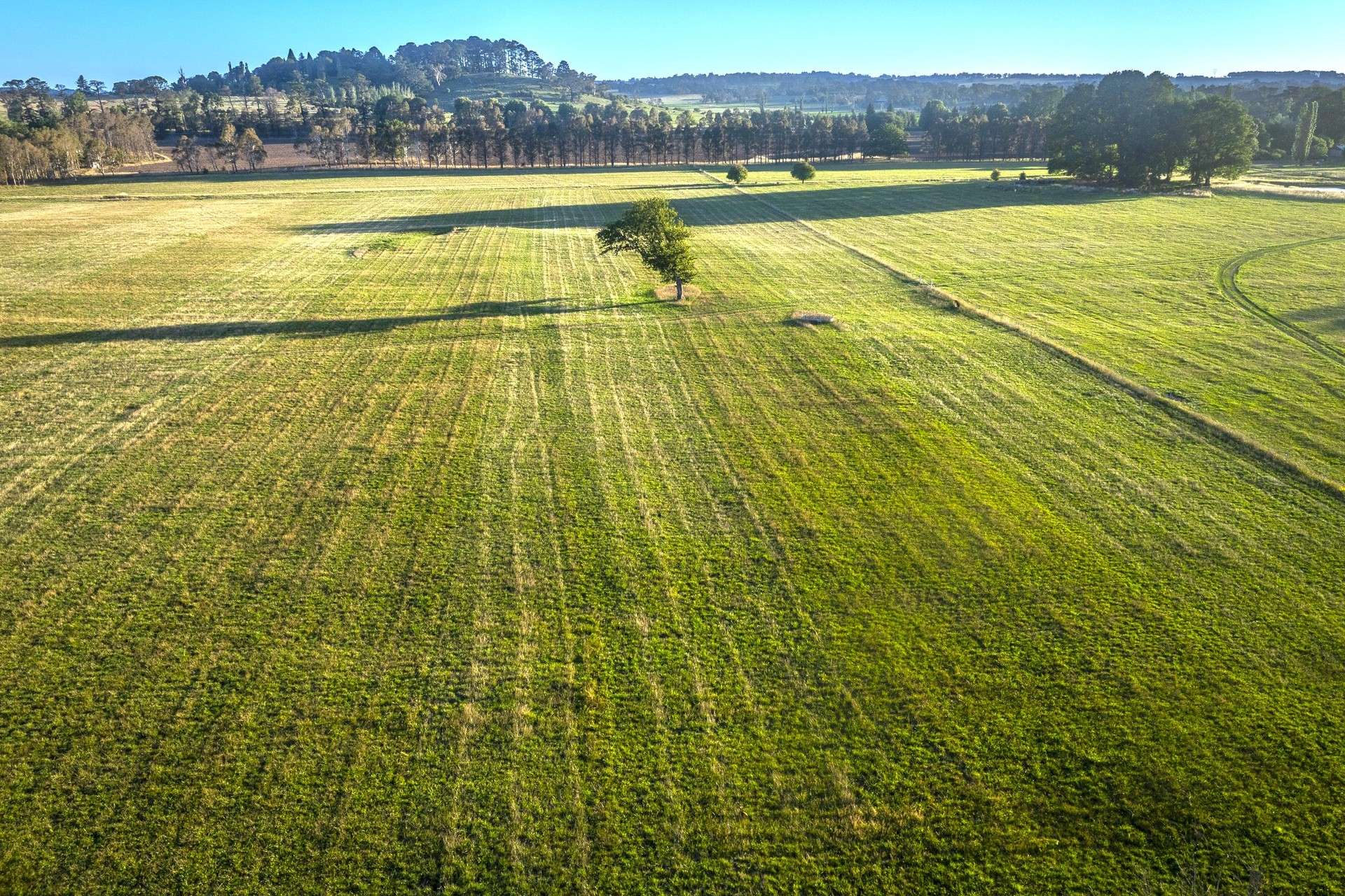 7300 Illawarra Highway, Sutton Forest For Sale by Farmbuy.com - image 7