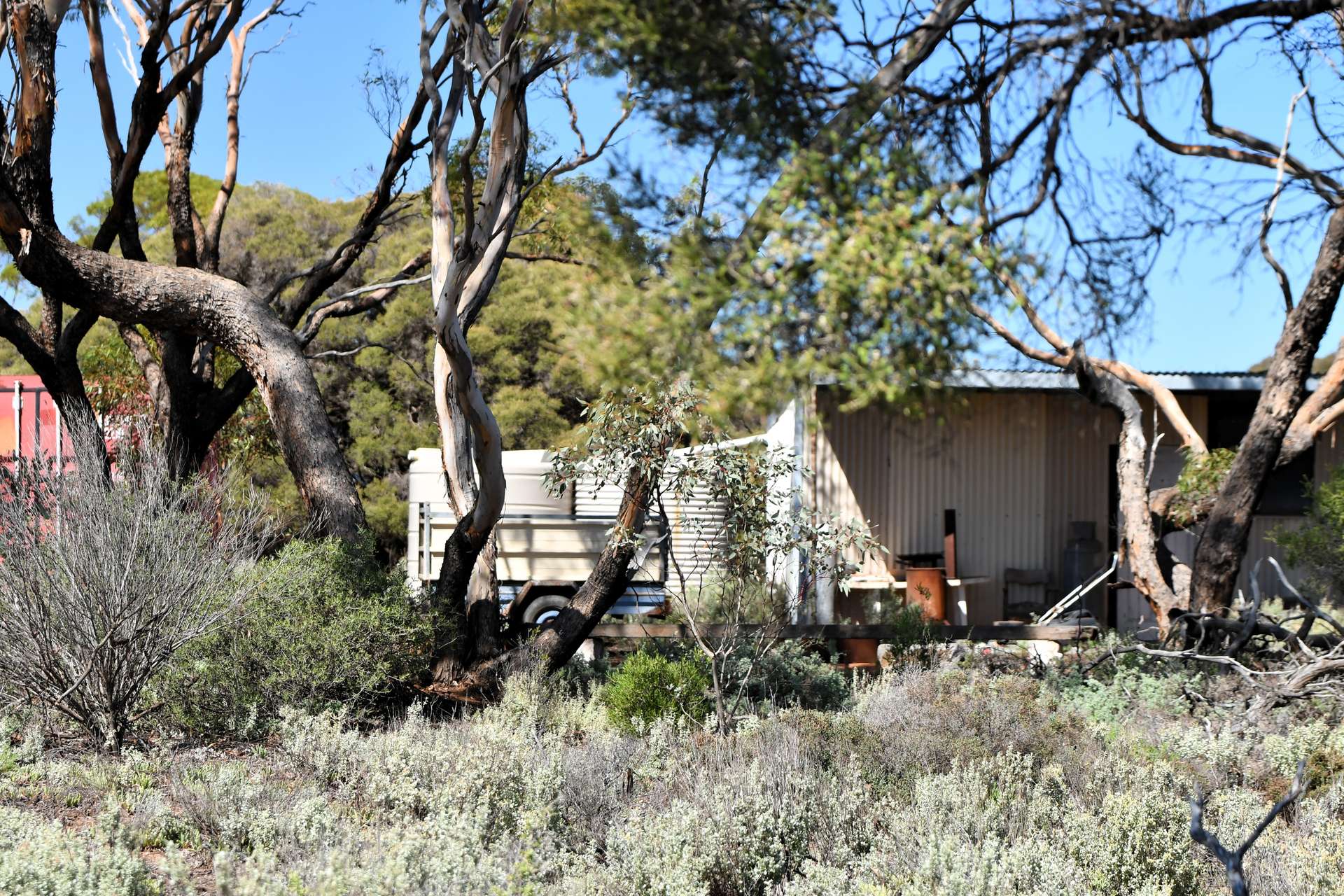 38 Samphire Road, Port Germein For Sale by Farmbuy.com - image 2
