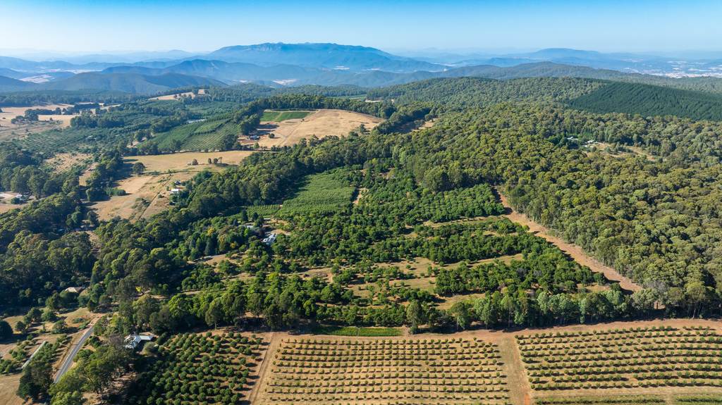192 Myrtleford-Stanley Road, Stanley VIC 3747