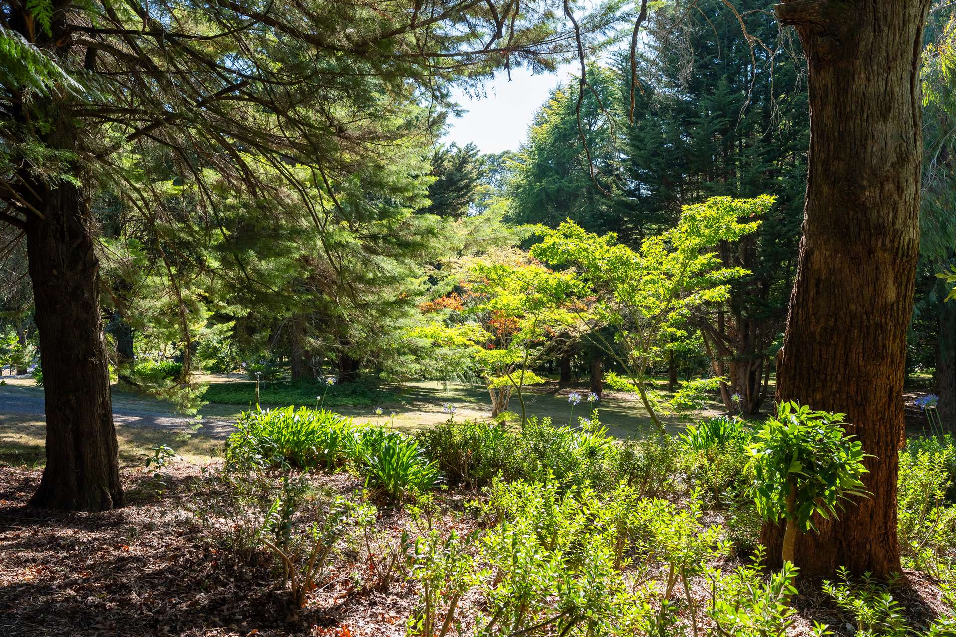 192 Myrtleford-Stanley Road, Stanley For Sale by Farmbuy.com - image 10