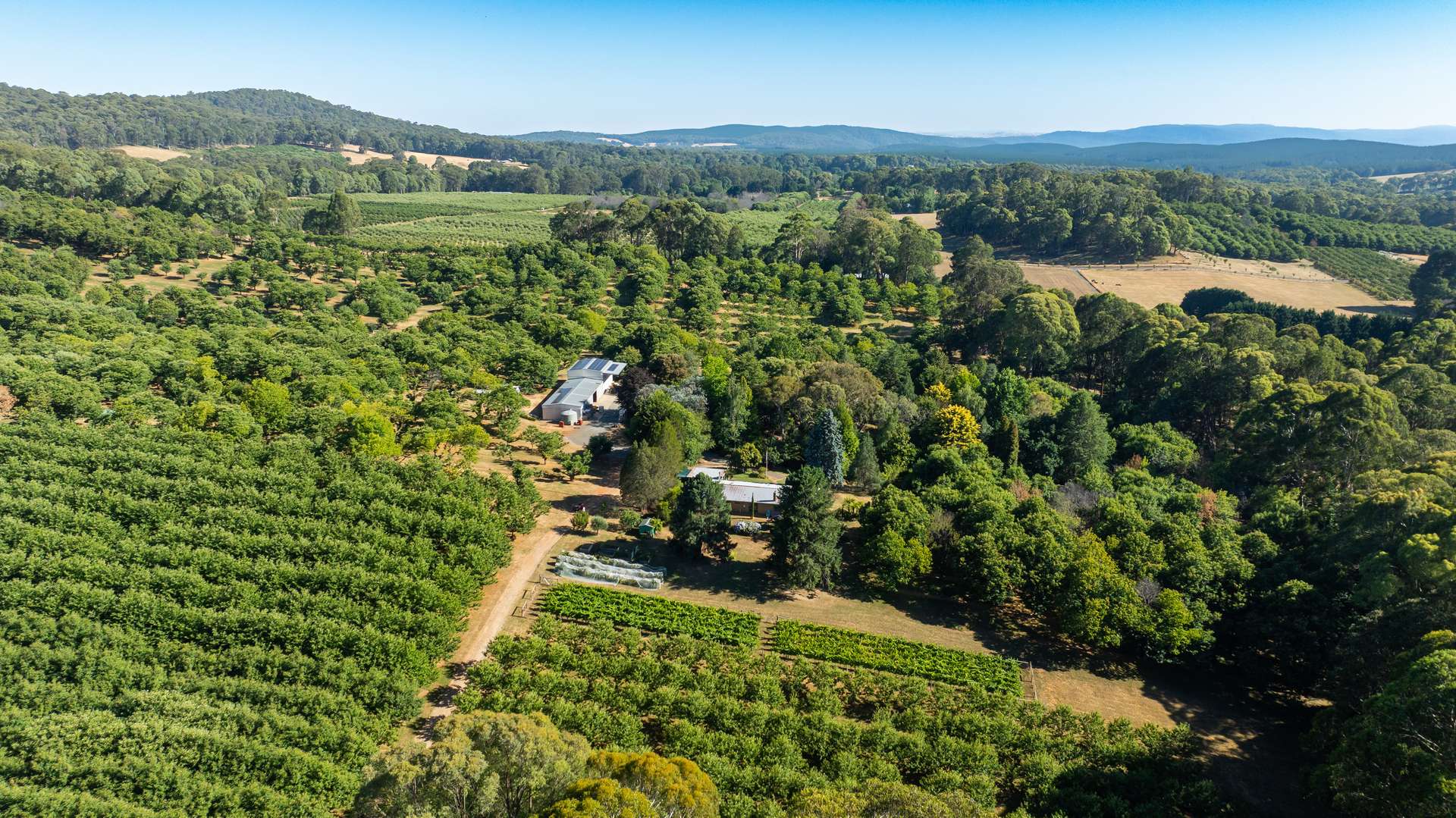 192 Myrtleford-Stanley Road, Stanley For Sale by Farmbuy.com - image 33