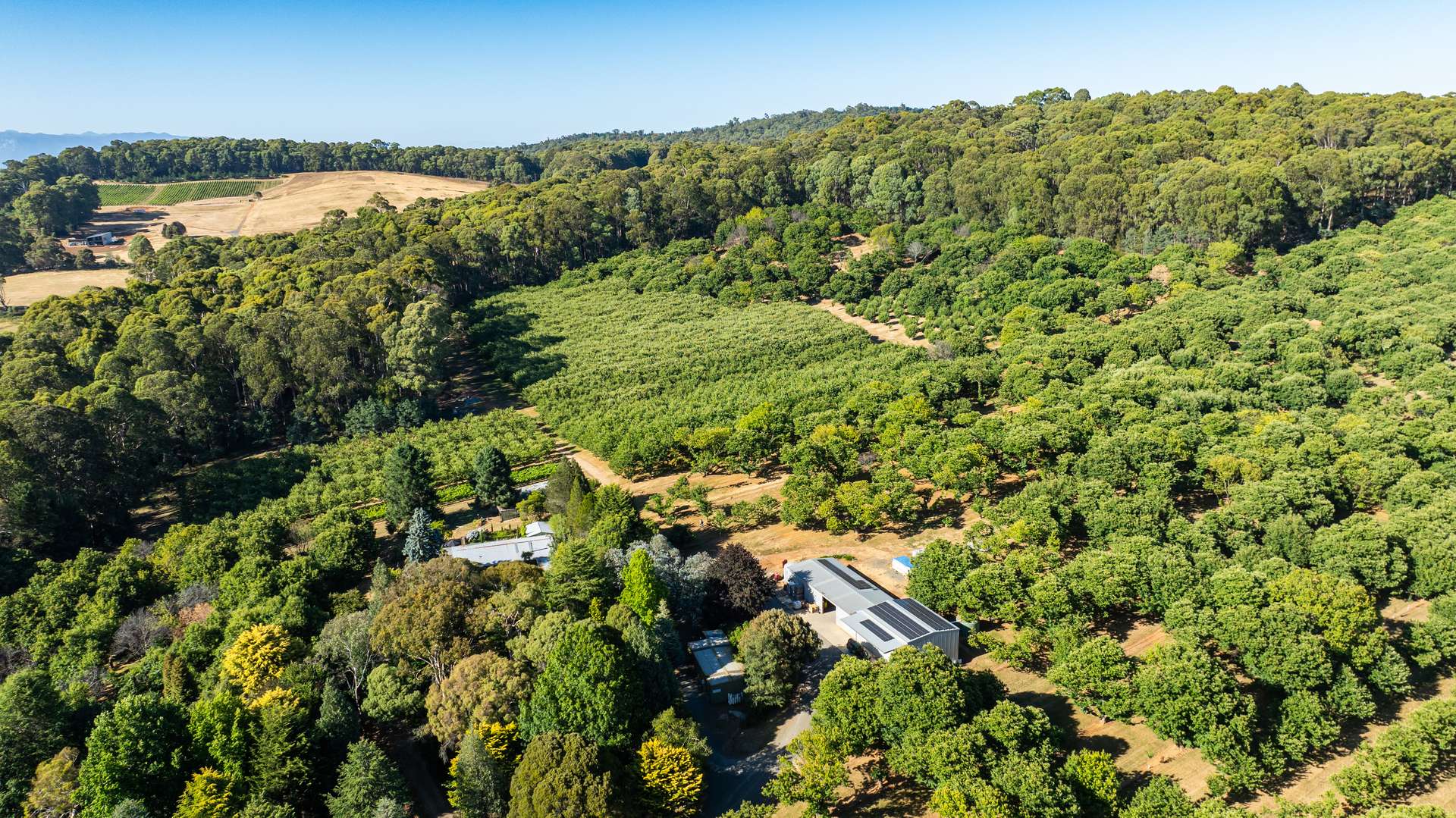 192 Myrtleford-Stanley Road, Stanley For Sale by Farmbuy.com - image 5