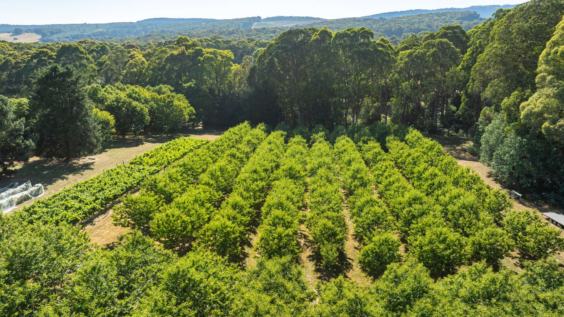 192 Myrtleford-Stanley Road, Stanley For Sale by Farmbuy.com - image 21