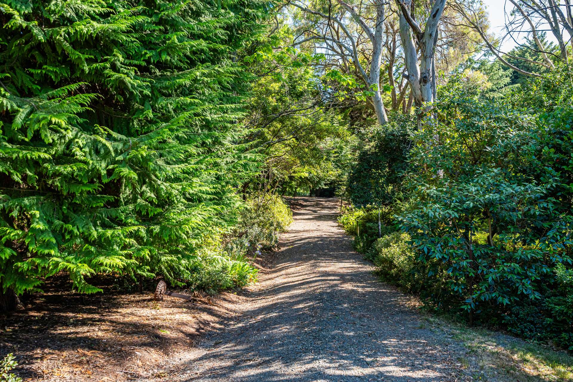 192 Myrtleford-Stanley Road, Stanley For Sale by Farmbuy.com - image 11