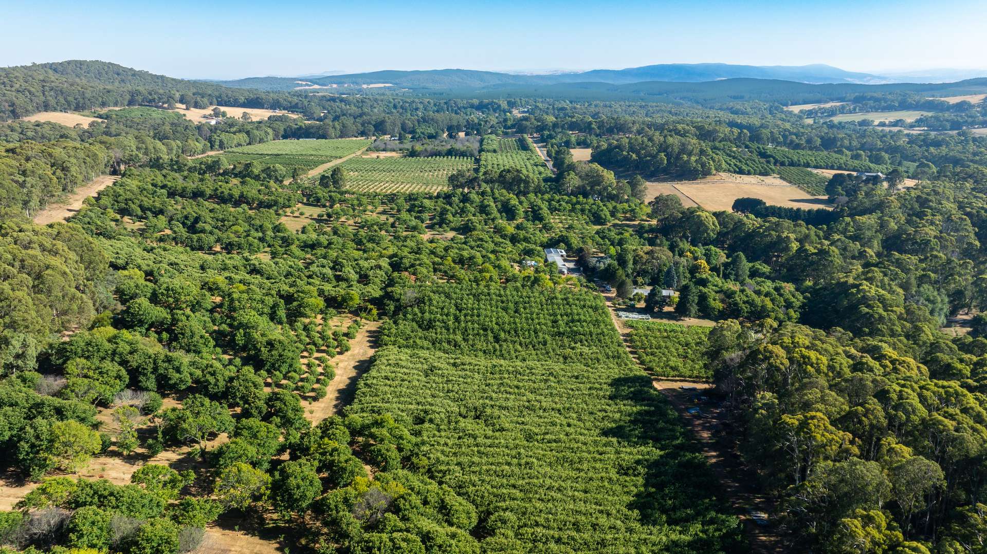 192 Myrtleford-Stanley Road, Stanley For Sale by Farmbuy.com - image 28