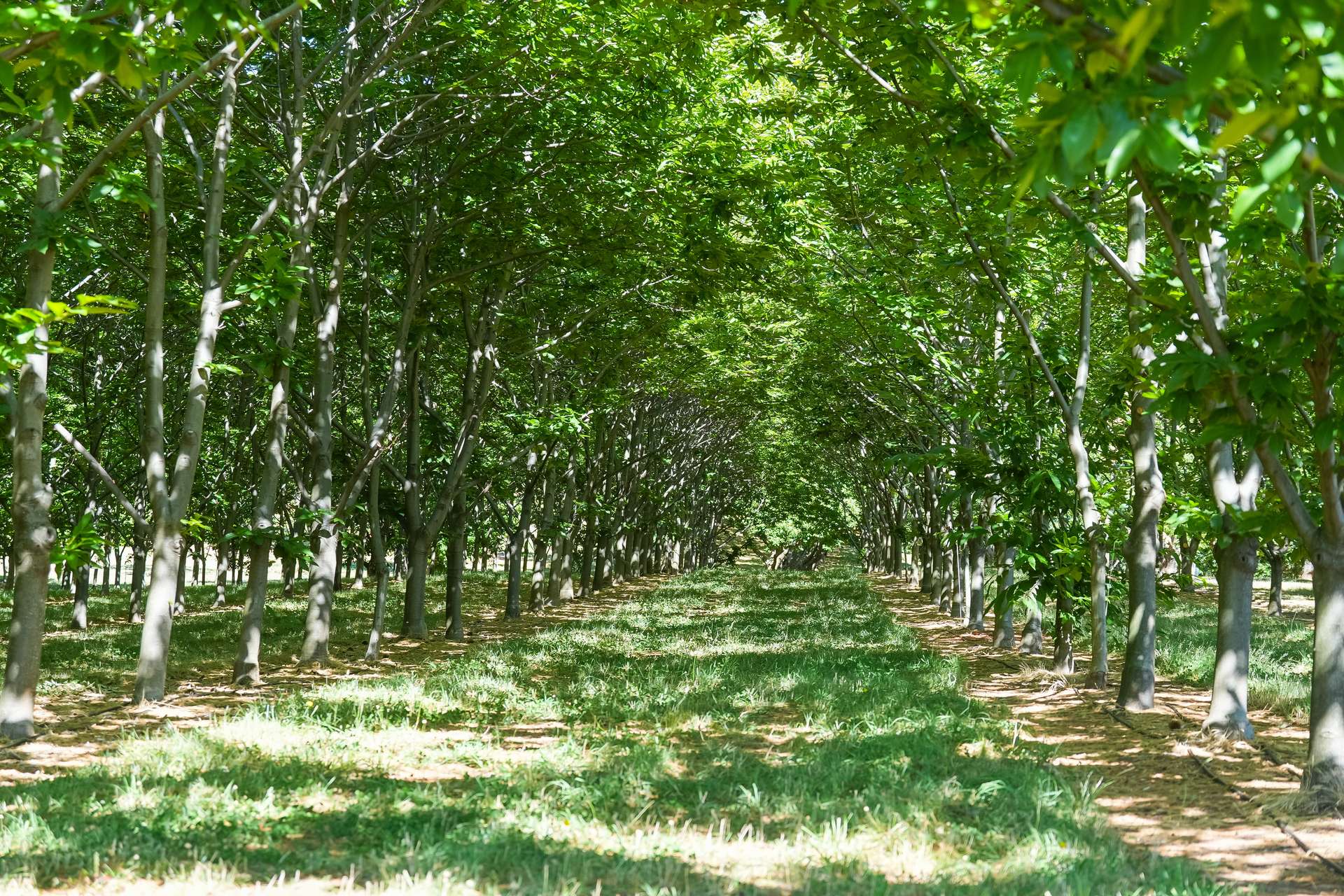 192 Myrtleford-Stanley Road, Stanley For Sale by Farmbuy.com - image 34