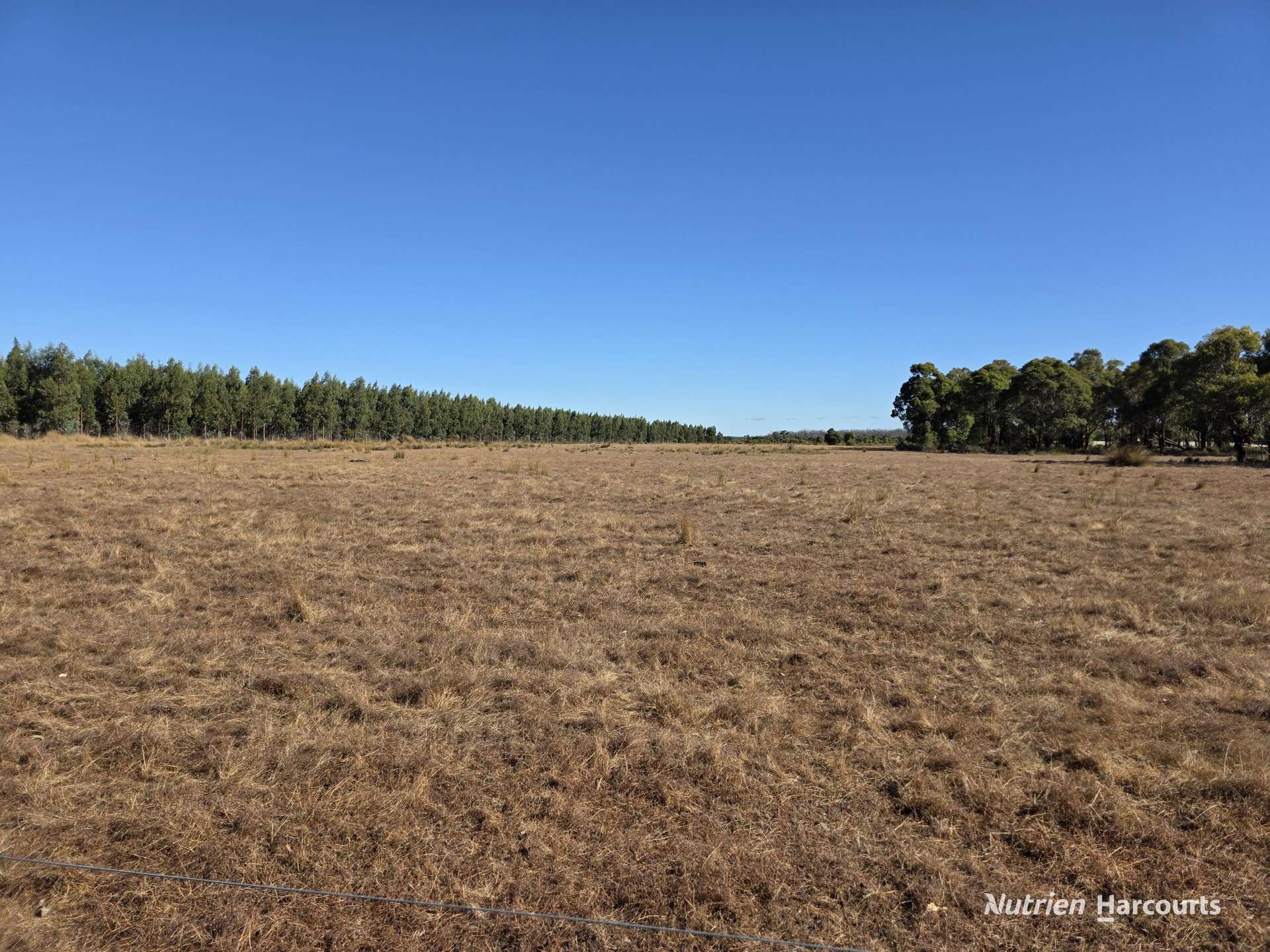 1578 Yellanup Road, Narrikup For Sale by Farmbuy.com - image 1