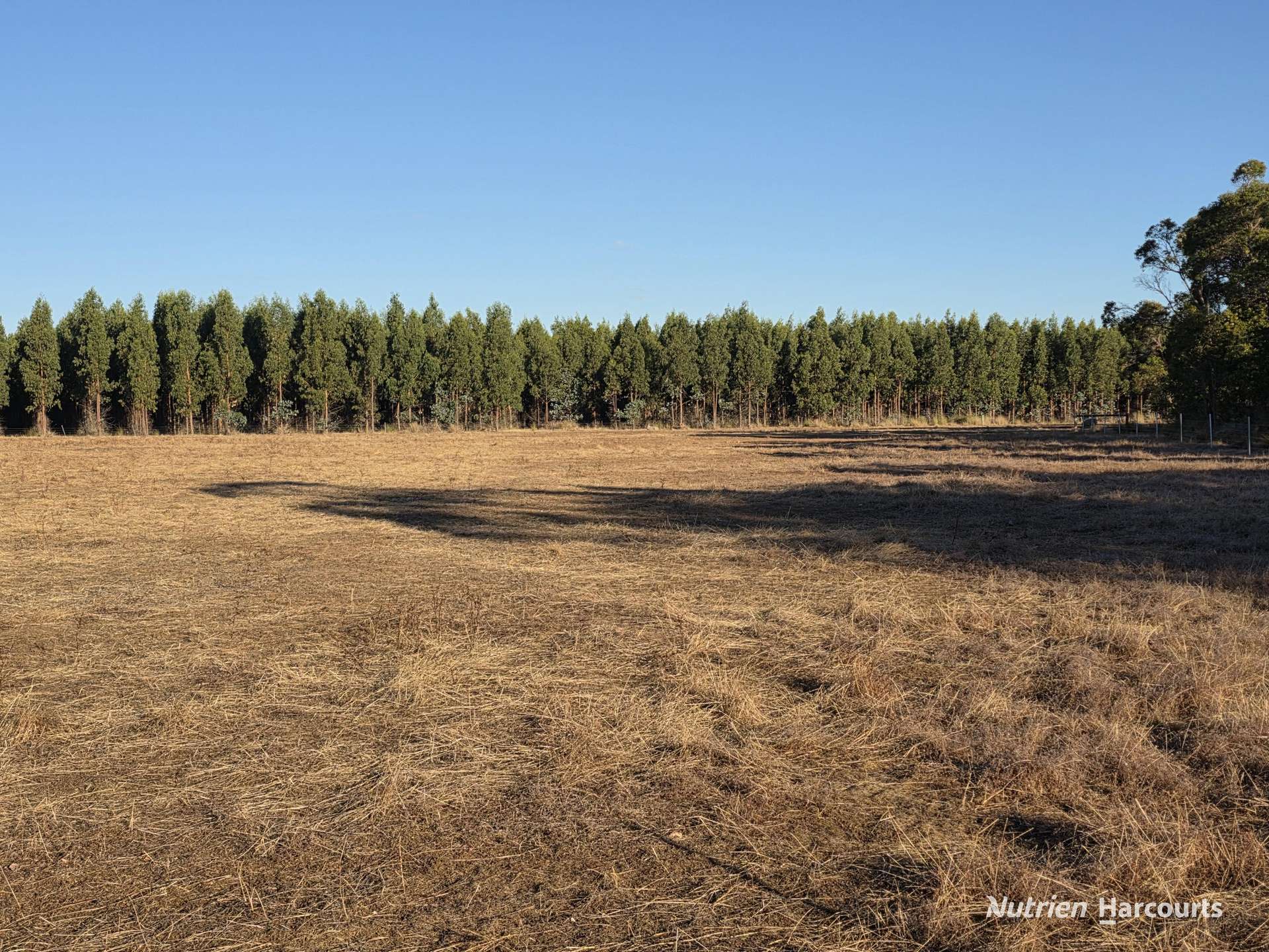 1578 Yellanup Road, Narrikup For Sale by Farmbuy.com - image 22