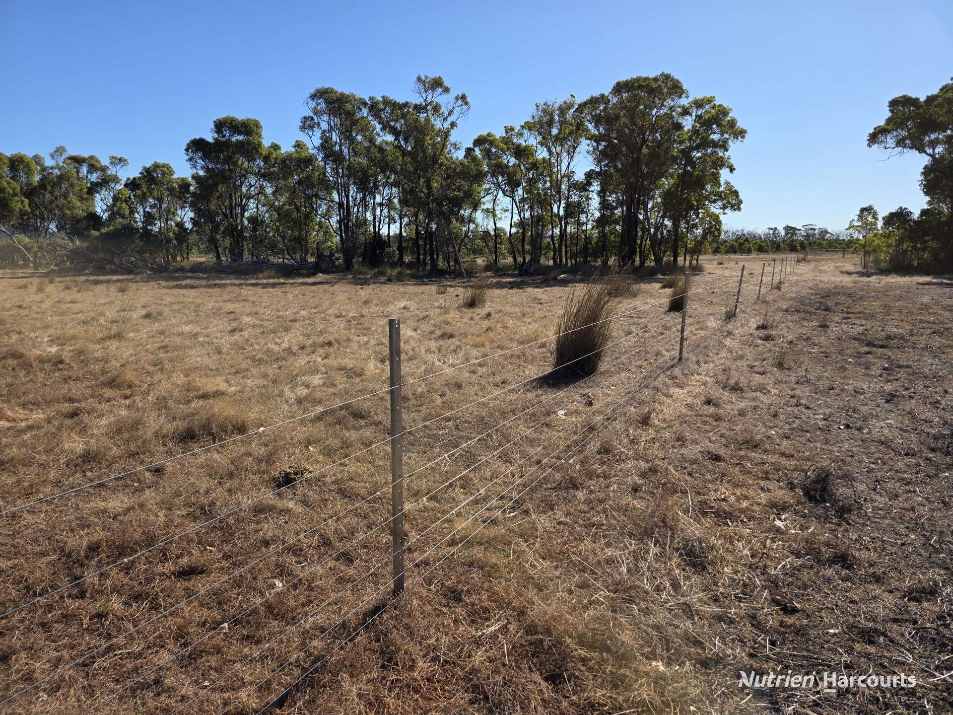 1578 Yellanup Road, Narrikup For Sale by Farmbuy.com - image 13