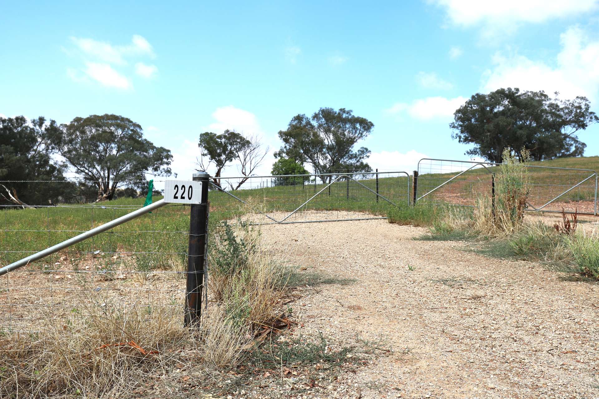 Lot 101, 102 &, 105 Turners Lane, Cootamundra For Sale by Farmbuy.com - image 8