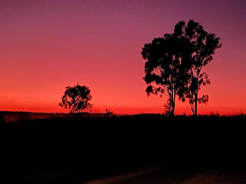 Good Night For Sale by Farmbuy.com - image 22