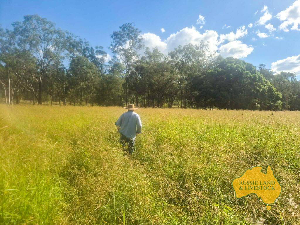 Lot 43 & 50, . Kalliwa Road, Mingo For Sale by Farmbuy.com - image 3