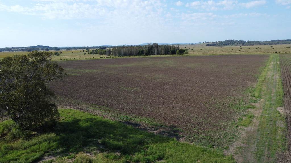 Lot 163 Casino Coraki Road, Codrington NSW 2471