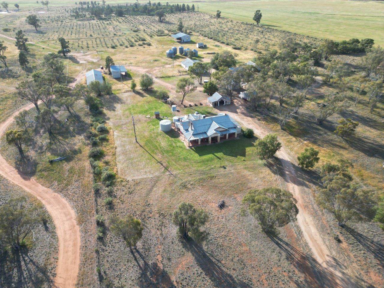 'Cleveland' 548 Cunningtons Lane, West Wyalong For Sale by Farmbuy.com - image 13