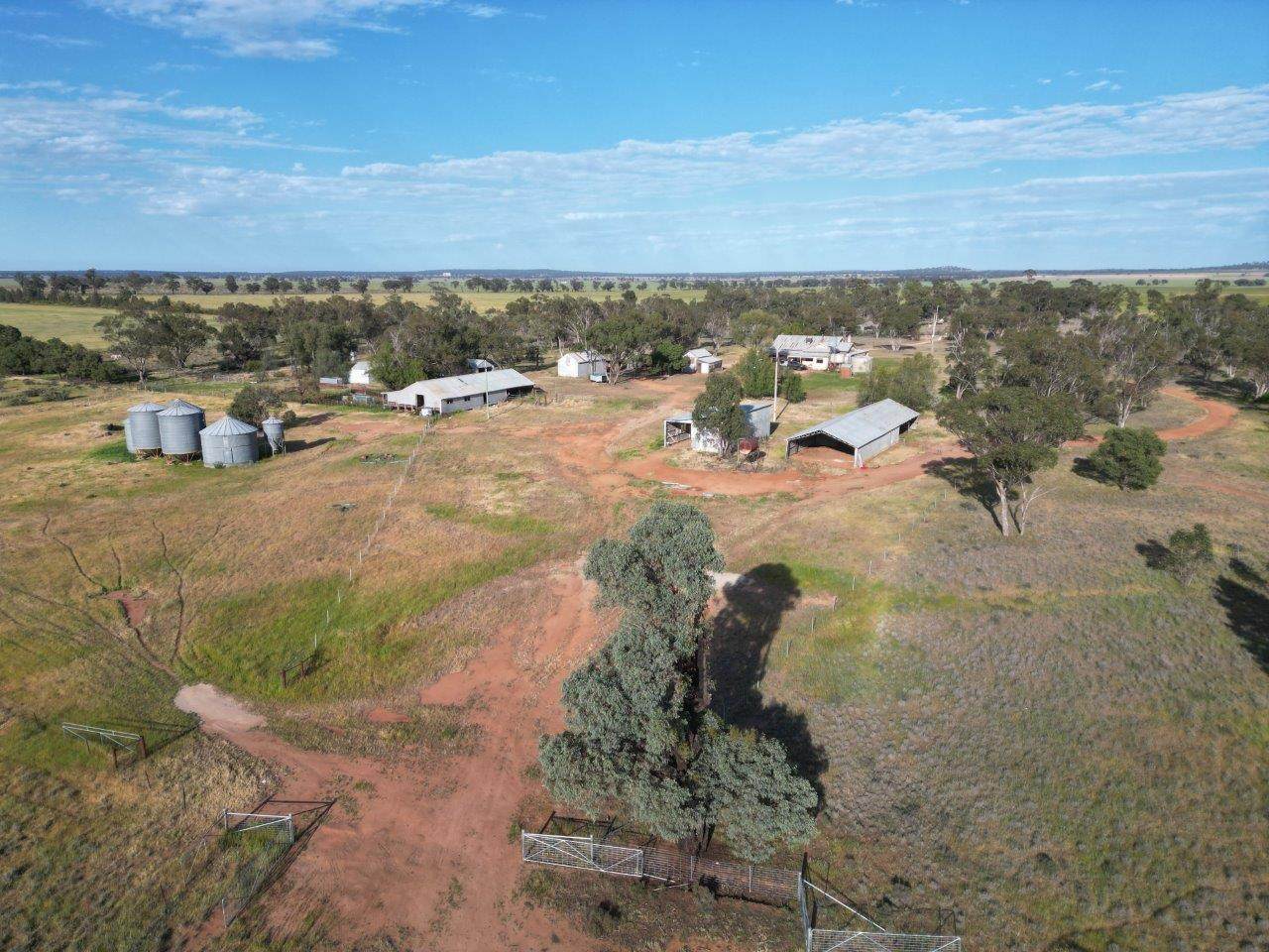 'Cleveland' 548 Cunningtons Lane, West Wyalong For Sale by Farmbuy.com - image 7