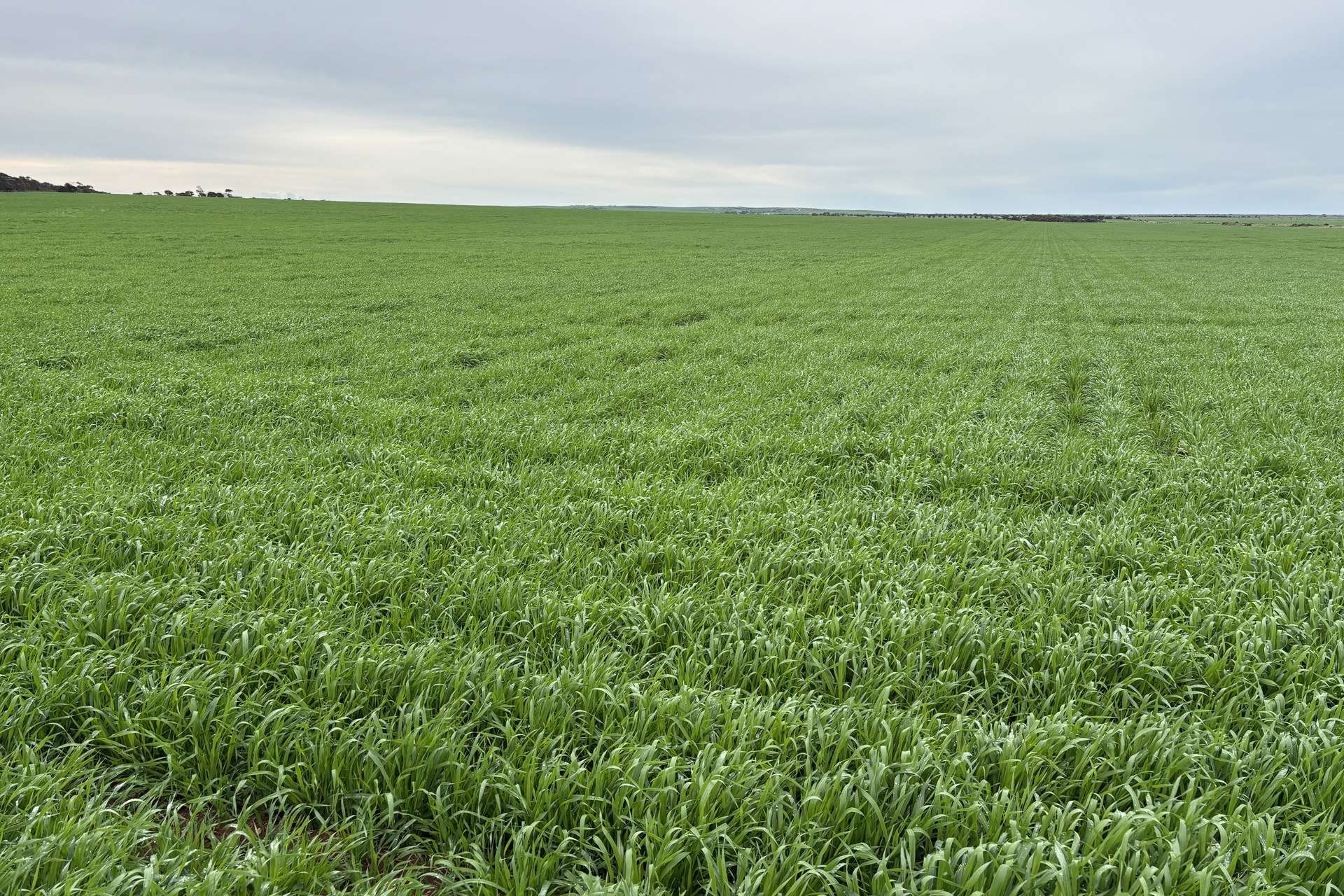 Lot 67,  South Coast Road, Tumby Bay For Sale by Farmbuy.com - image 11