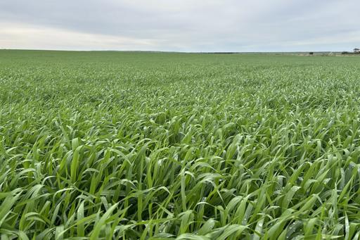 Lot 67&comma; South Coast Road, Tumby Bay SA 5605