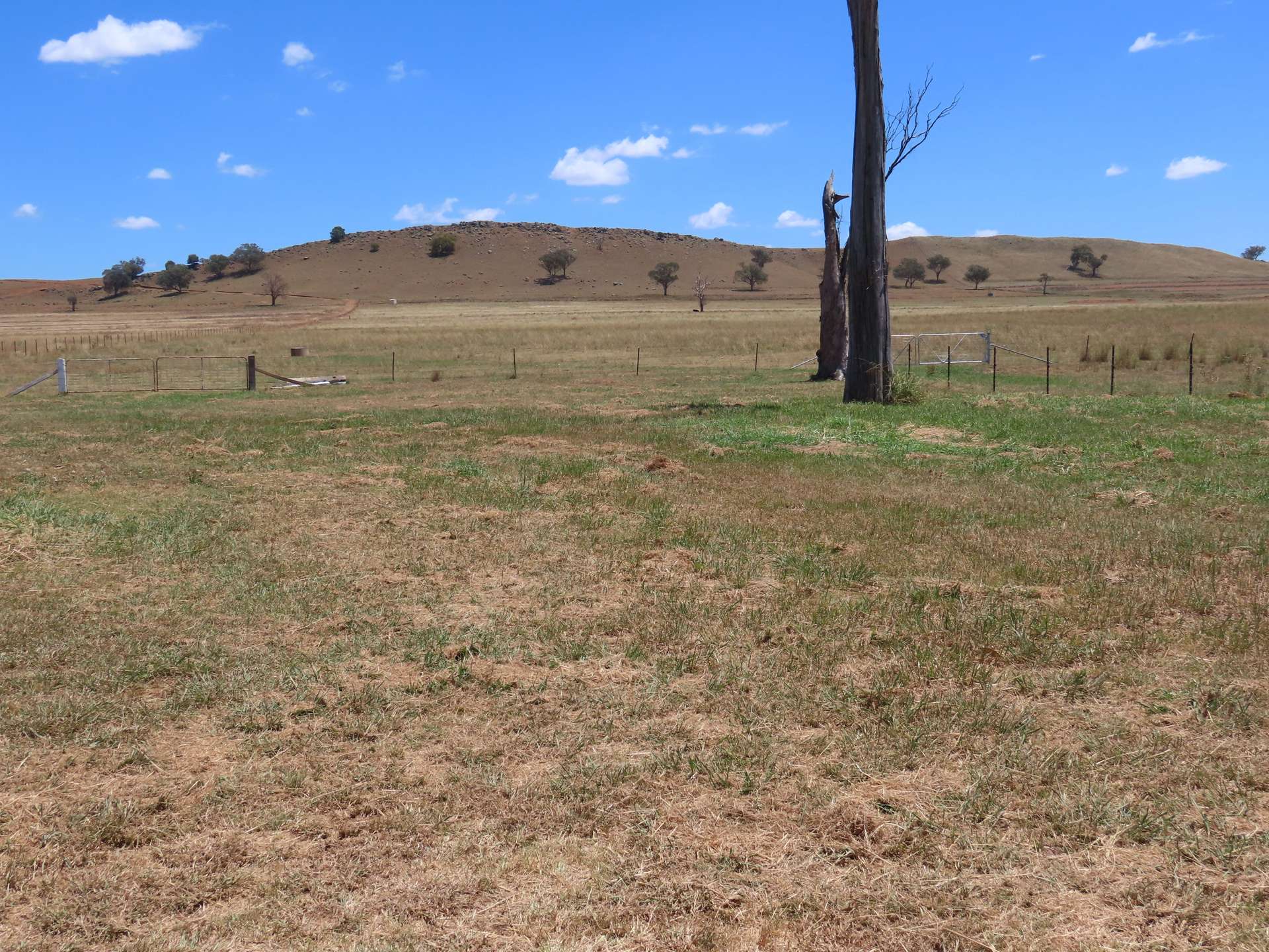 "Wattle-wee-doo" 14213 New England HWY, Timbumburi For Sale by Farmbuy.com - image 8