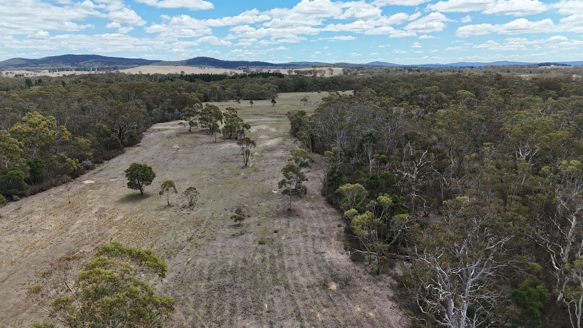 1024 MAYFIELD RD, Braidwood For Sale by Farmbuy.com - image 12