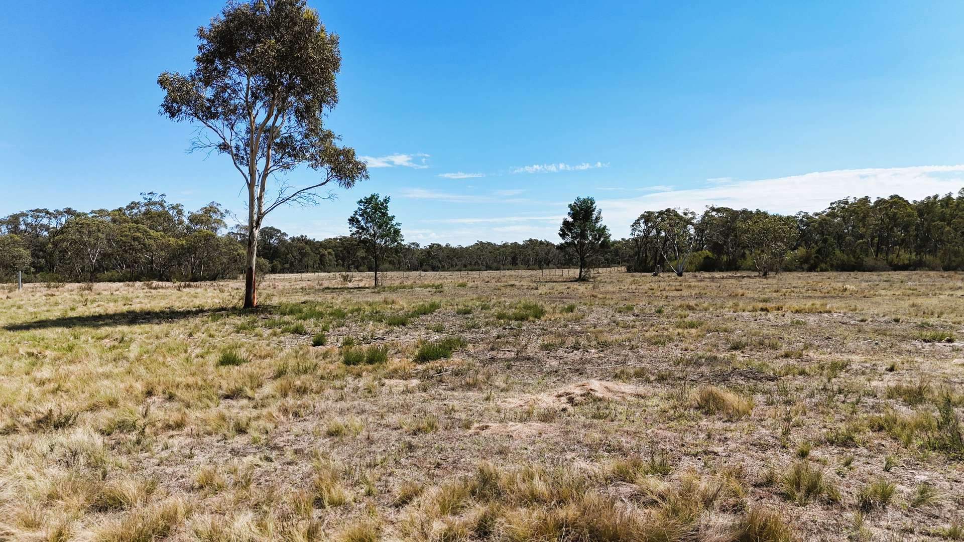 1024 MAYFIELD RD, Braidwood For Sale by Farmbuy.com - image 2