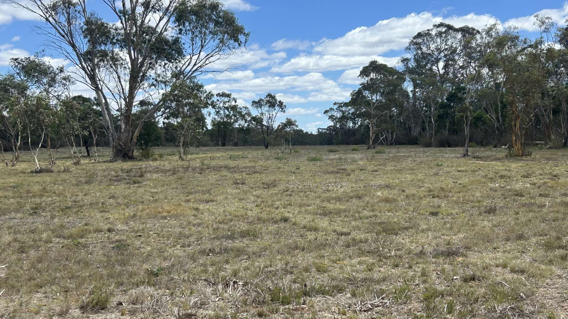 1024 MAYFIELD RD, Braidwood For Sale by Farmbuy.com - image 13