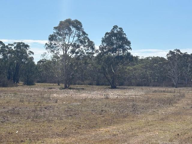 1024 MAYFIELD RD, Braidwood For Sale by Farmbuy.com - image 5