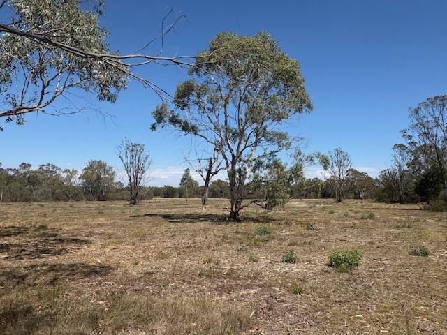 1024 MAYFIELD RD, Braidwood For Sale by Farmbuy.com - image 3