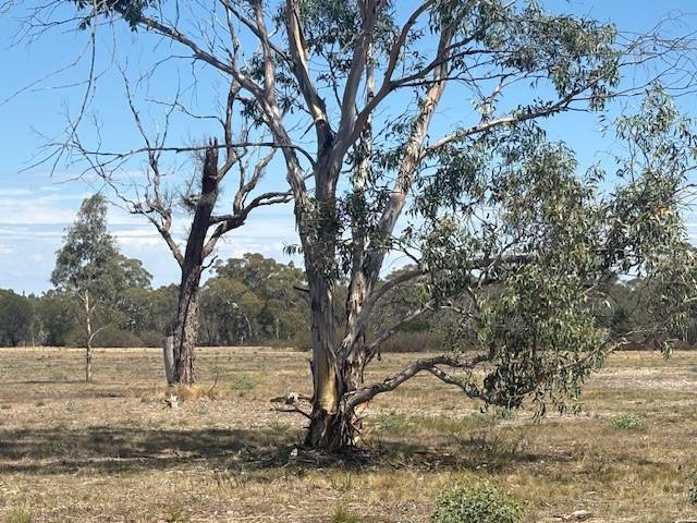 1024 MAYFIELD RD, Braidwood For Sale by Farmbuy.com - image 6