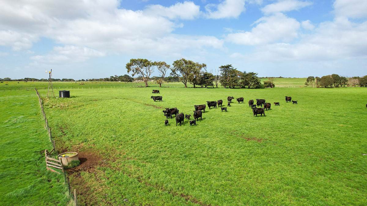 Lot 6,  Orchards Road, Narrawong For Sale by Farmbuy.com - image 3