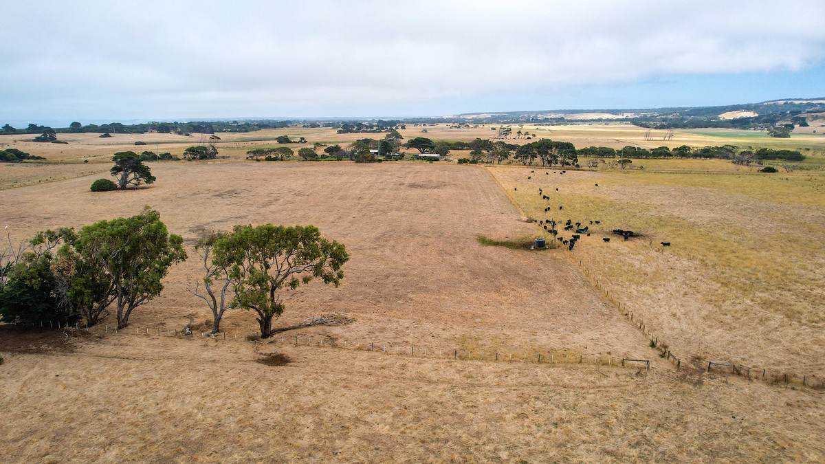 Lot 6,  Orchards Road, Narrawong For Sale by Farmbuy.com - image 6