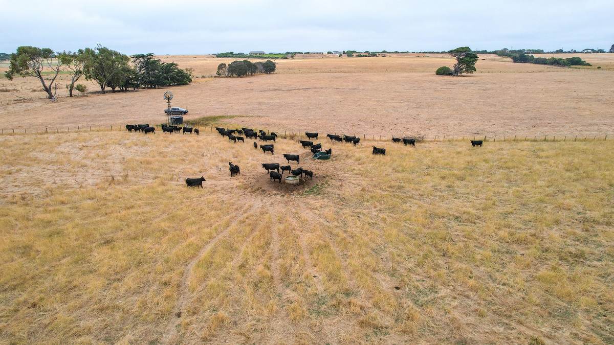 Lot 6,  Orchards Road, Narrawong For Sale by Farmbuy.com - image 8