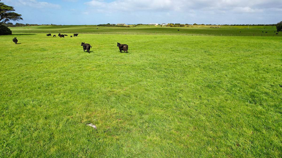 Lot 6,  Orchards Road, Narrawong For Sale by Farmbuy.com - image 4