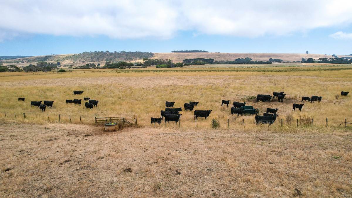 Lot 6,  Orchards Road, Narrawong For Sale by Farmbuy.com - image 7
