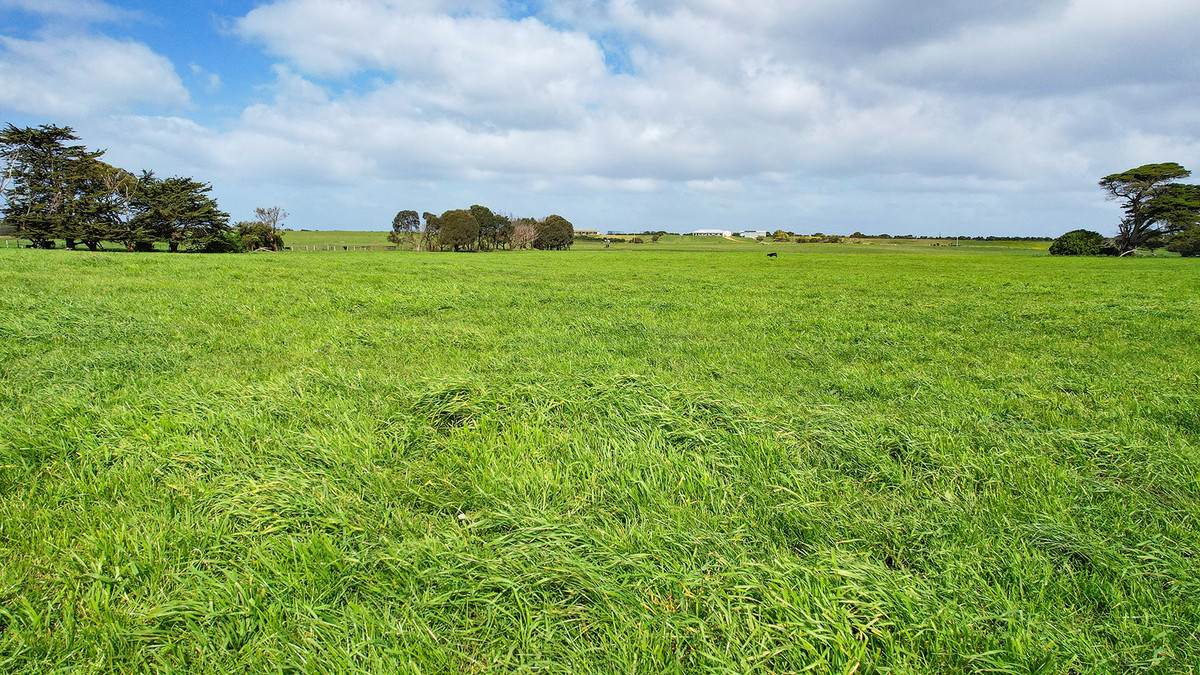 Lot 6,  Orchards Road, Narrawong For Sale by Farmbuy.com - image 6