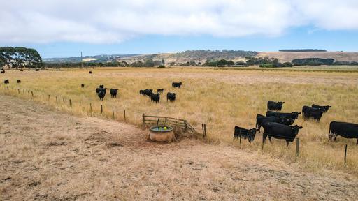 Farm For Sale - VIC - Narrawong - 3285 - Coastal Lifestyle Grazing at Narrawong 