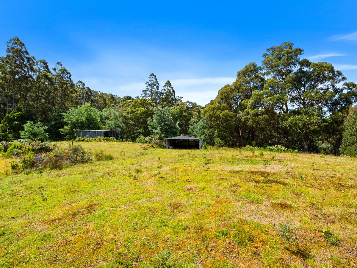 89 Hill Street, Middleton Sold by Farmbuy.com - image 23