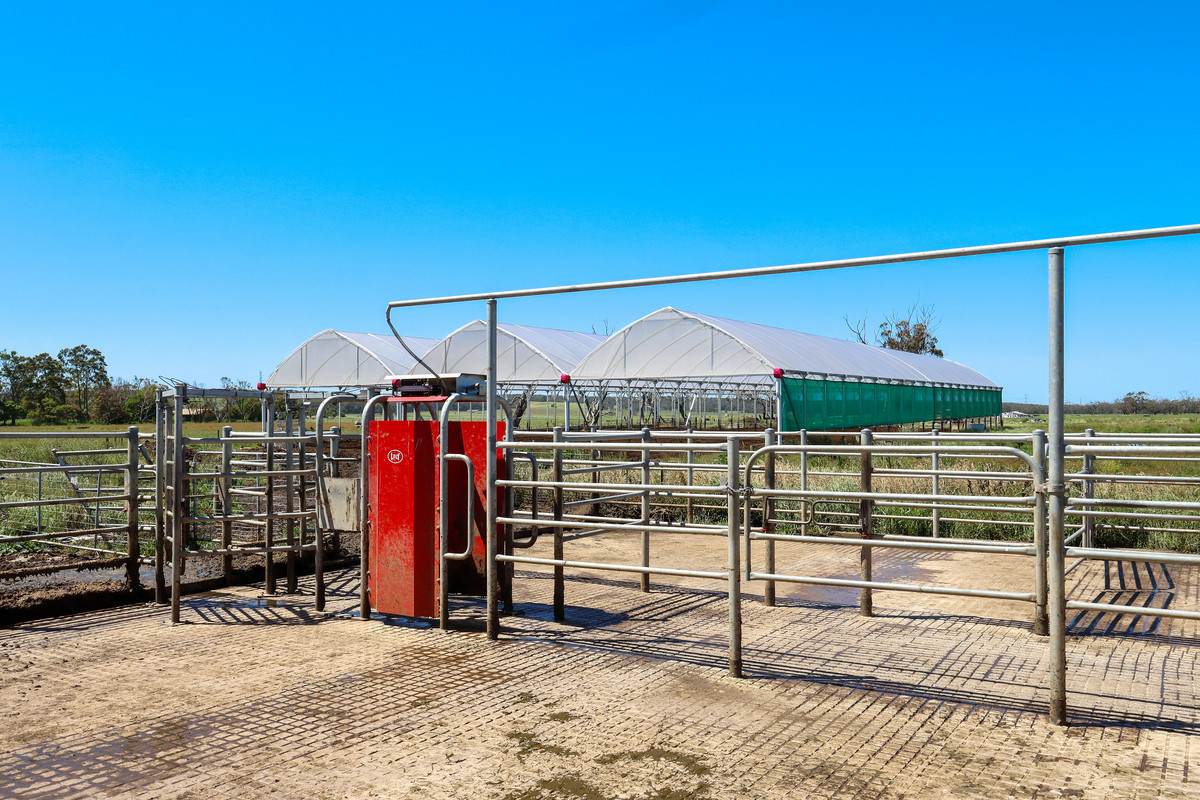 111 Smith Street, Heywood For Sale by Farmbuy.com - image 17