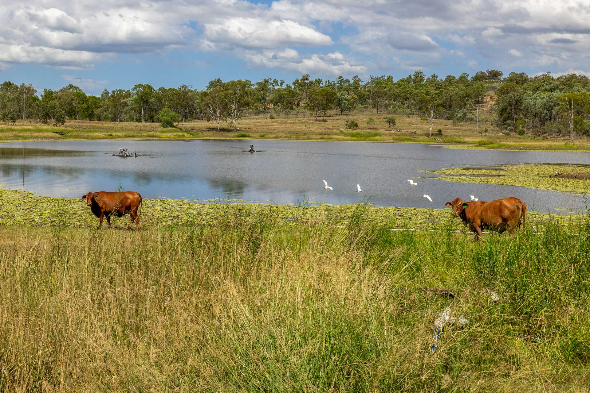 10 Dykehead Road, Boynewood For Sale by Farmbuy.com - image 25