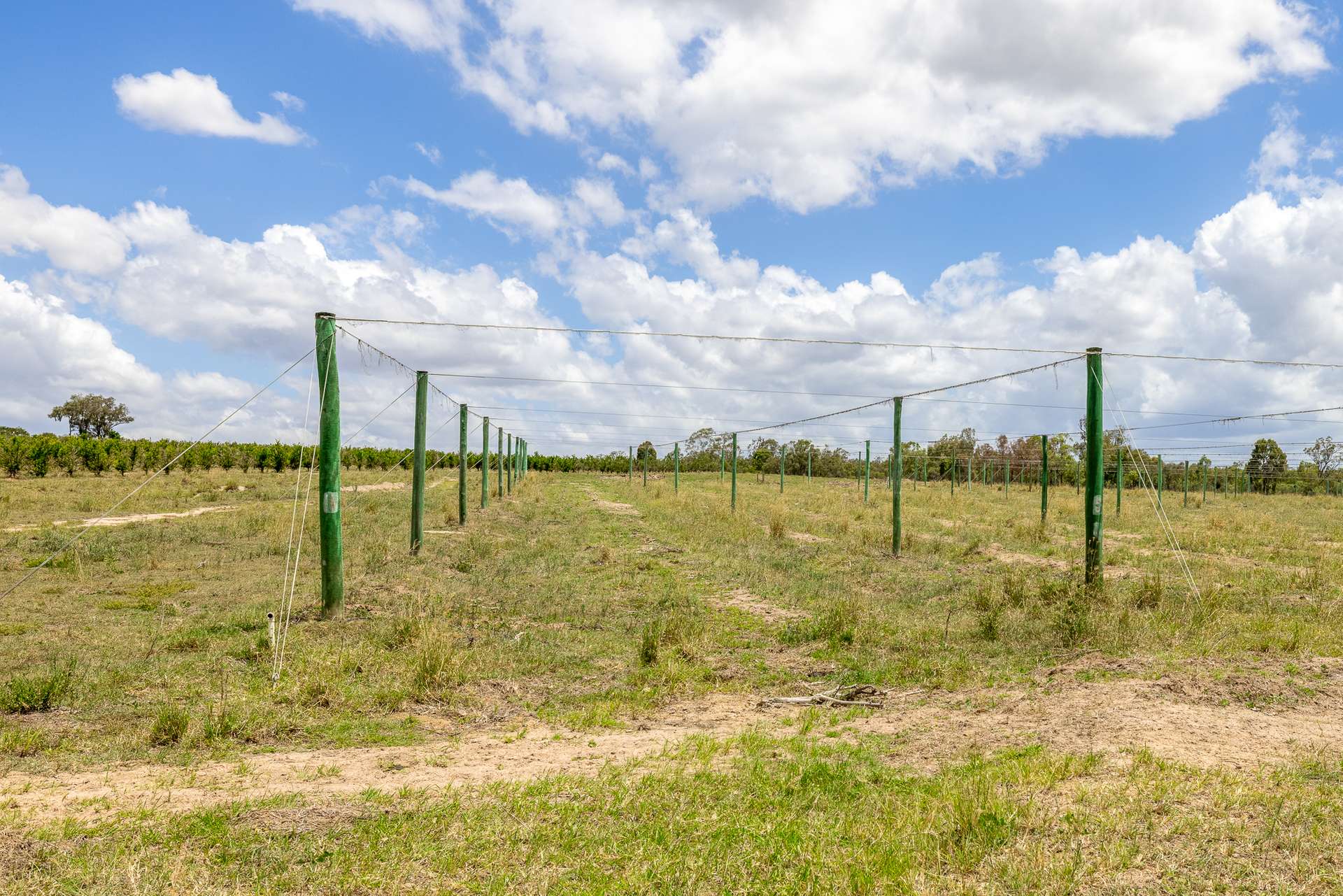 10 Dykehead Road, Boynewood For Sale by Farmbuy.com - image 19