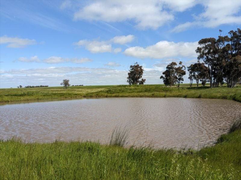 129 Hodgson Road, Swanwater For Sale by Farmbuy.com - image 5