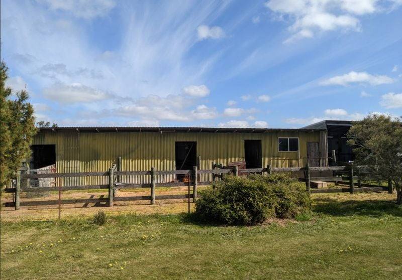 129 Hodgson Road, Swanwater For Sale by Farmbuy.com - image 4