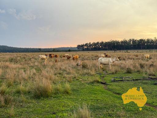 373 Ormonde Road, Monogorilby QLD 4626