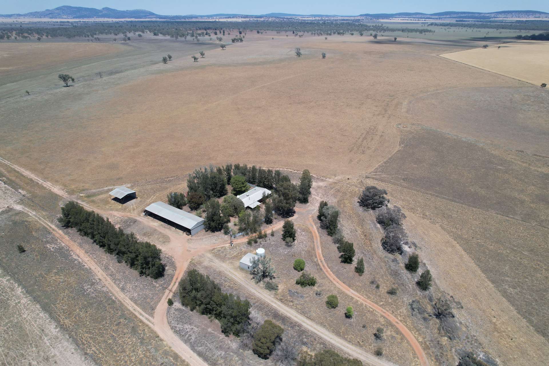 94 Gullifers Road, Forbes For Sale by Farmbuy.com - image 11