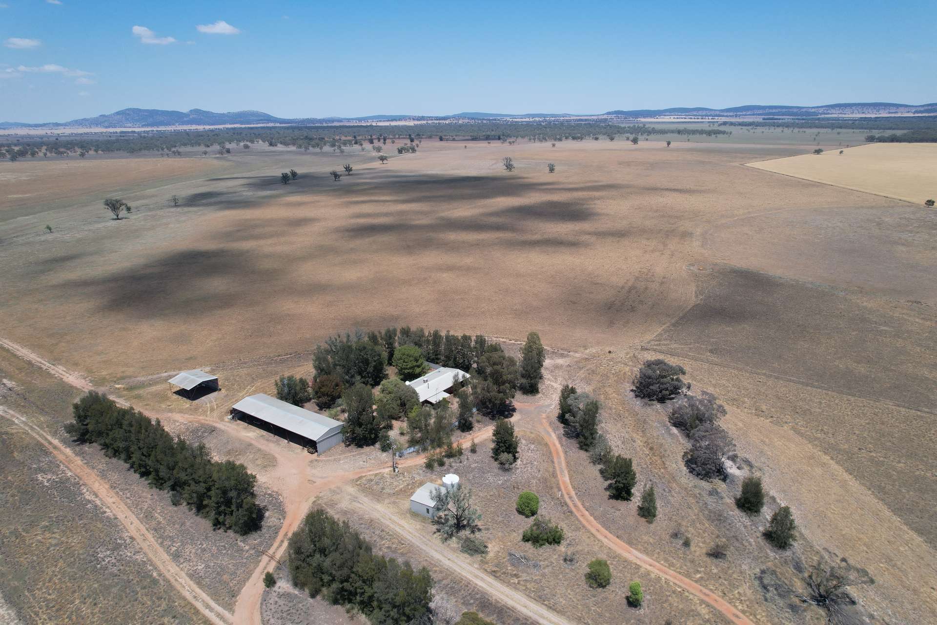 94 Gullifers Road, Forbes For Sale by Farmbuy.com - image 4